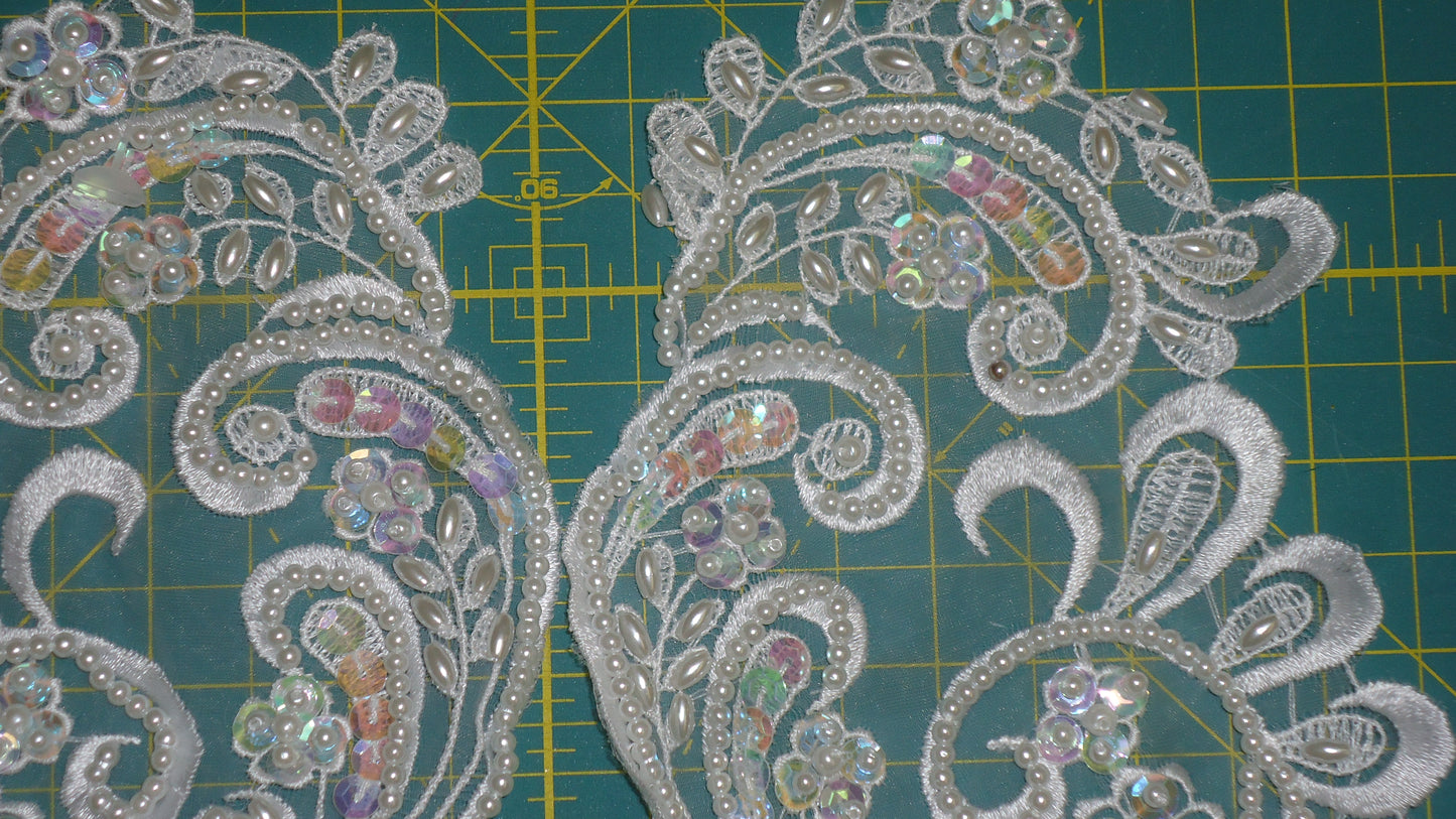 Embroidered Scrolls ~ Organza Pair