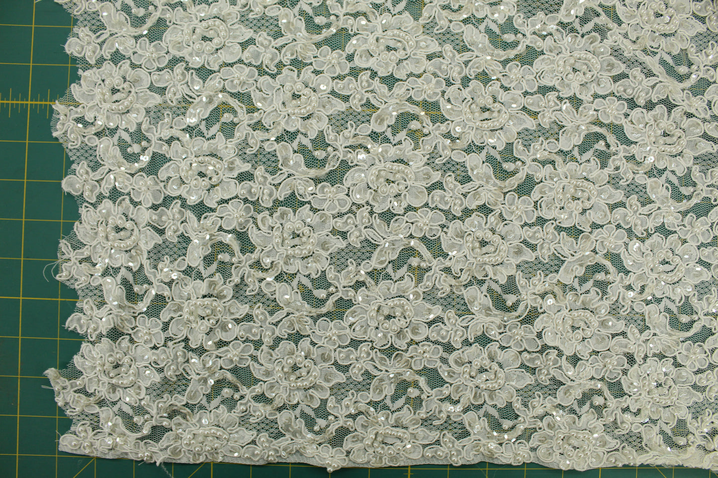 Dense Beaded Alencon Lace